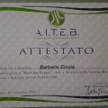 Ingrandire l'immagine: certificate 21