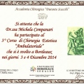 Ingrandire l'immagine: certificate 2
