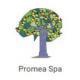 Promea S.p.a.