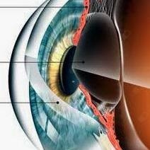 Acercar imagen: Nancy Sandoval Corimayta, Oftalmólogo Arequipa