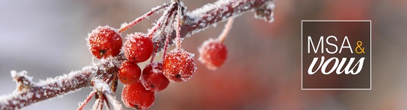 visuel2_msaetvous_decembre21.jpg