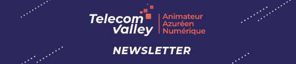 Newsletter Telecom Valley