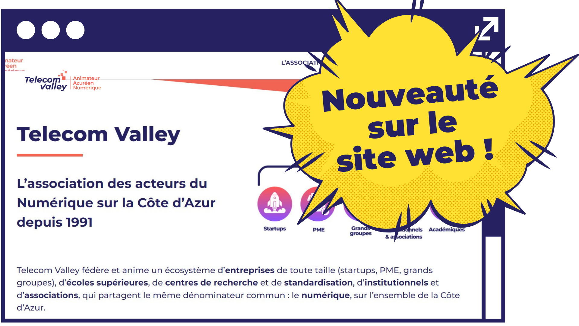 Nouveauté site web (1).png