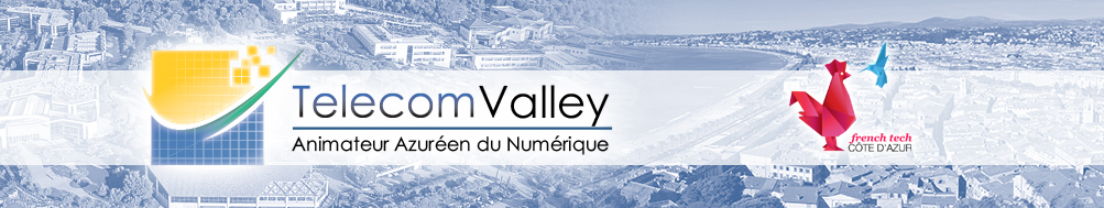 Telecom Valley, Animateur Azuréen du Numérique