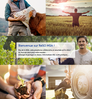 reso msa.png