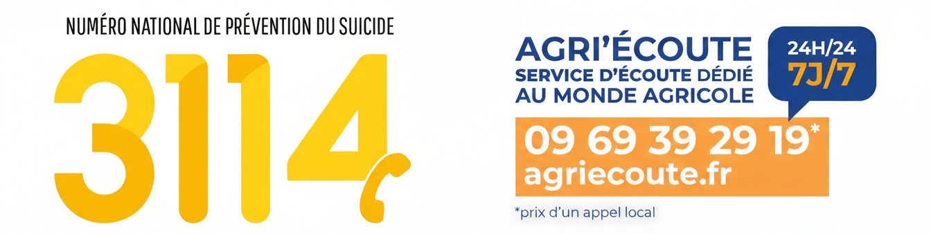 Mise en forme logos 2.png