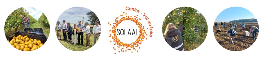 solale.jpg