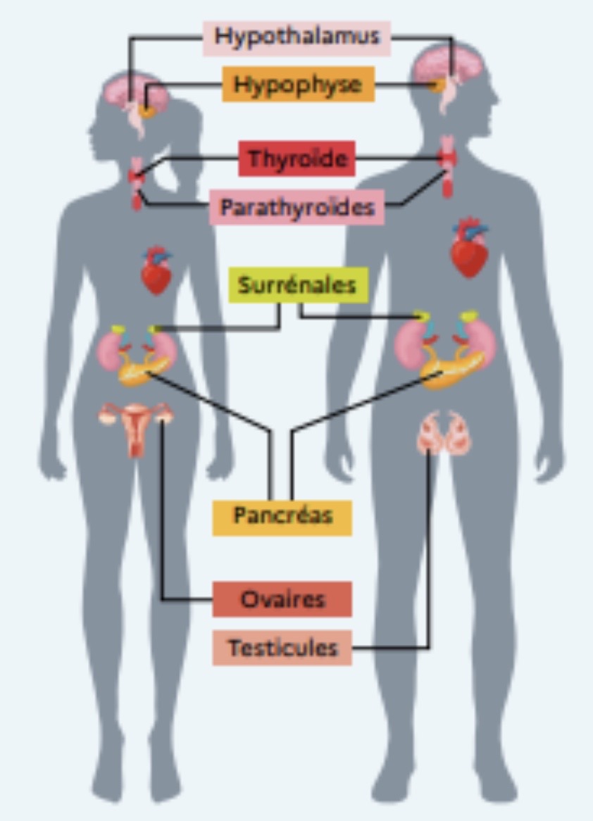 Image 11-04-2022 à 14.30.jpg