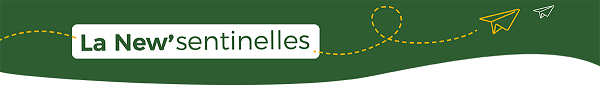 HEADER_NEWSENTINELLES_600px.png