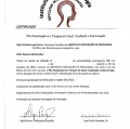 Ampliar imagem: certificate 4