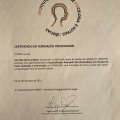Ampliar imagem: certificate 1