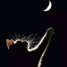 Ampliar imagem: Ana Meireles, Fisioterapeuta Vila Real