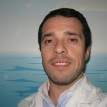 Ampliar imagem: Rui M. Lopes Gonçalves, Especialista em Genética Médica Lisboa