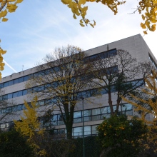 Ampliar imagem: Joaquim Campos Lopes, Oftalmologista Porto