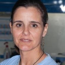 Ampliar imagem: Sofia Arantes e Oliveira, Dentista Lisboa