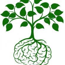 Ampliar imagem: António Tavares, Psicólogo Lisboa