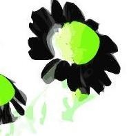 Ampliar imagem: Ricardo Lopes, Homeopata Amadora