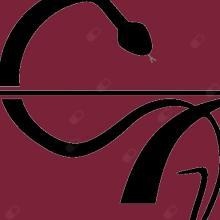 Ampliar imagem: Sandra Brás, Dentista Chaves