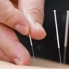  Ándreia Raquel Soares