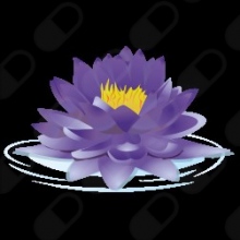 Shanti - Clinica Medica, Saude E Bem Estar