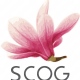Scog - Ginecologia e Obstetrícia