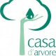Projecto Casa D'Arvore