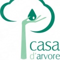 Projecto Casa D'ArvoreSetúbal - 