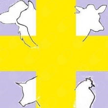 Consultório Médico Veterinário - Biovetnatura