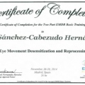 Acercar imagen: certificate 9