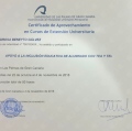 Acercar imagen: certificate 5