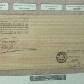 Acercar imagen: certificate 13