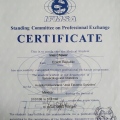 Acercar imagen: certificate 8