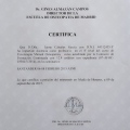 Acercar imagen: certificate 7