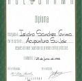 Acercar imagen: certificate 23
