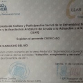 Acercar imagen: certificate 11