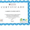 Acercar imagen: certificate 6