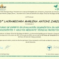Acercar imagen: certificate 6