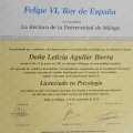 Acercar imagen: certificate 10