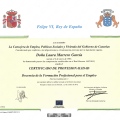 Acercar imagen: certificate 11