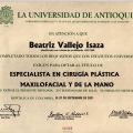 Acercar imagen: certificate 3