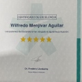 Acercar imagen: certificate 20