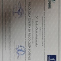 Acercar imagen: certificate 3