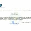 Acercar imagen: certificate 4