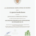 Acercar imagen: certificate 6