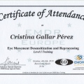 Acercar imagen: certificate 2