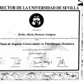 Acercar imagen: certificate 7
