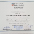 Acercar imagen: certificate 2