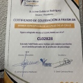 Acercar imagen: certificate 3