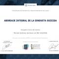 Acercar imagen: certificate 9