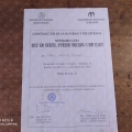 Acercar imagen: certificate 24